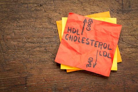 Cholesterol